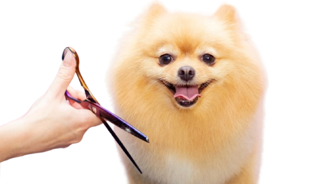 A small dog is taking a bath in a wooden bucket.