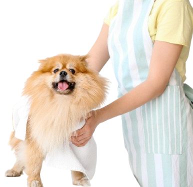 A small dog is taking a bath in a wooden bucket.
