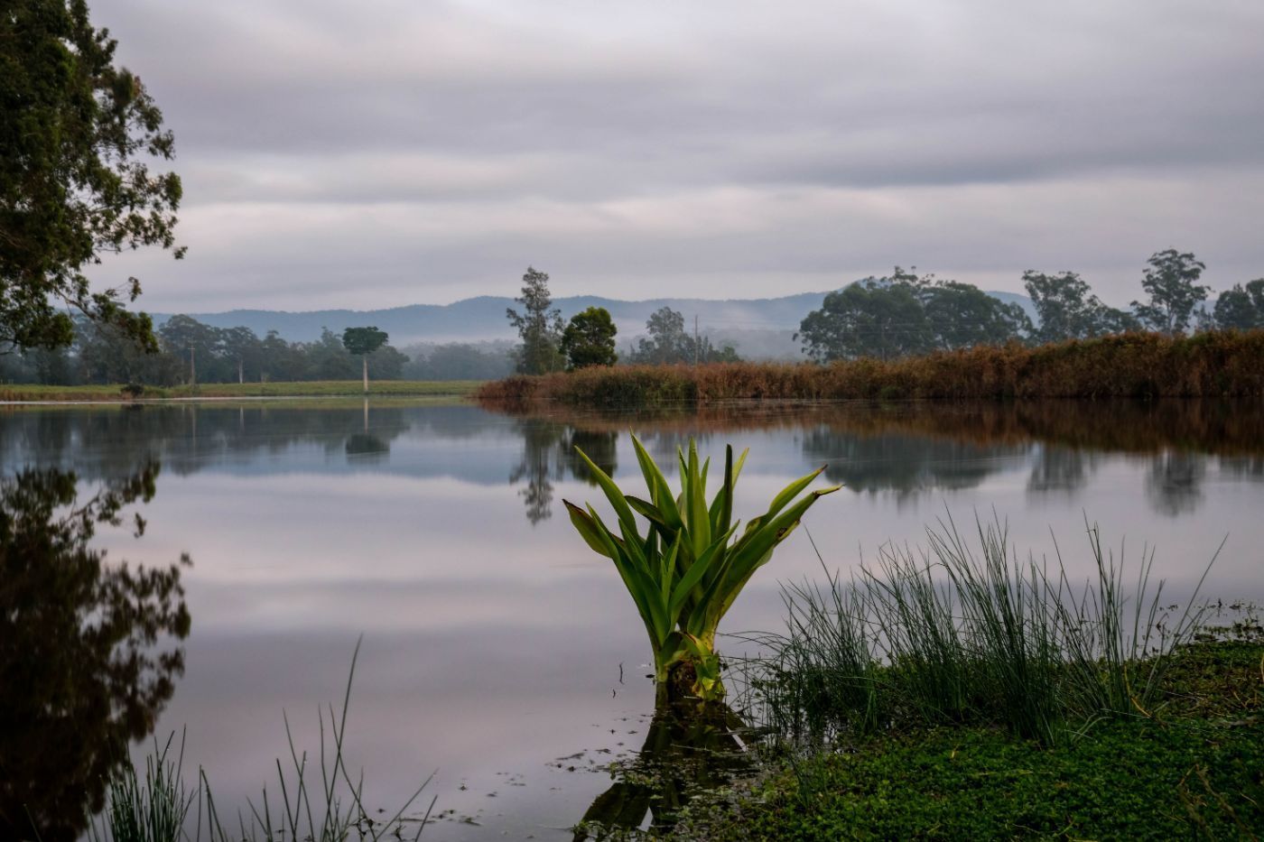 River in Bulahdelah — Earthmoving & Excavation in Bulahdelah, NSW