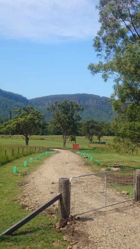Clearing Works Fence — Projects in Coopernook, NSW