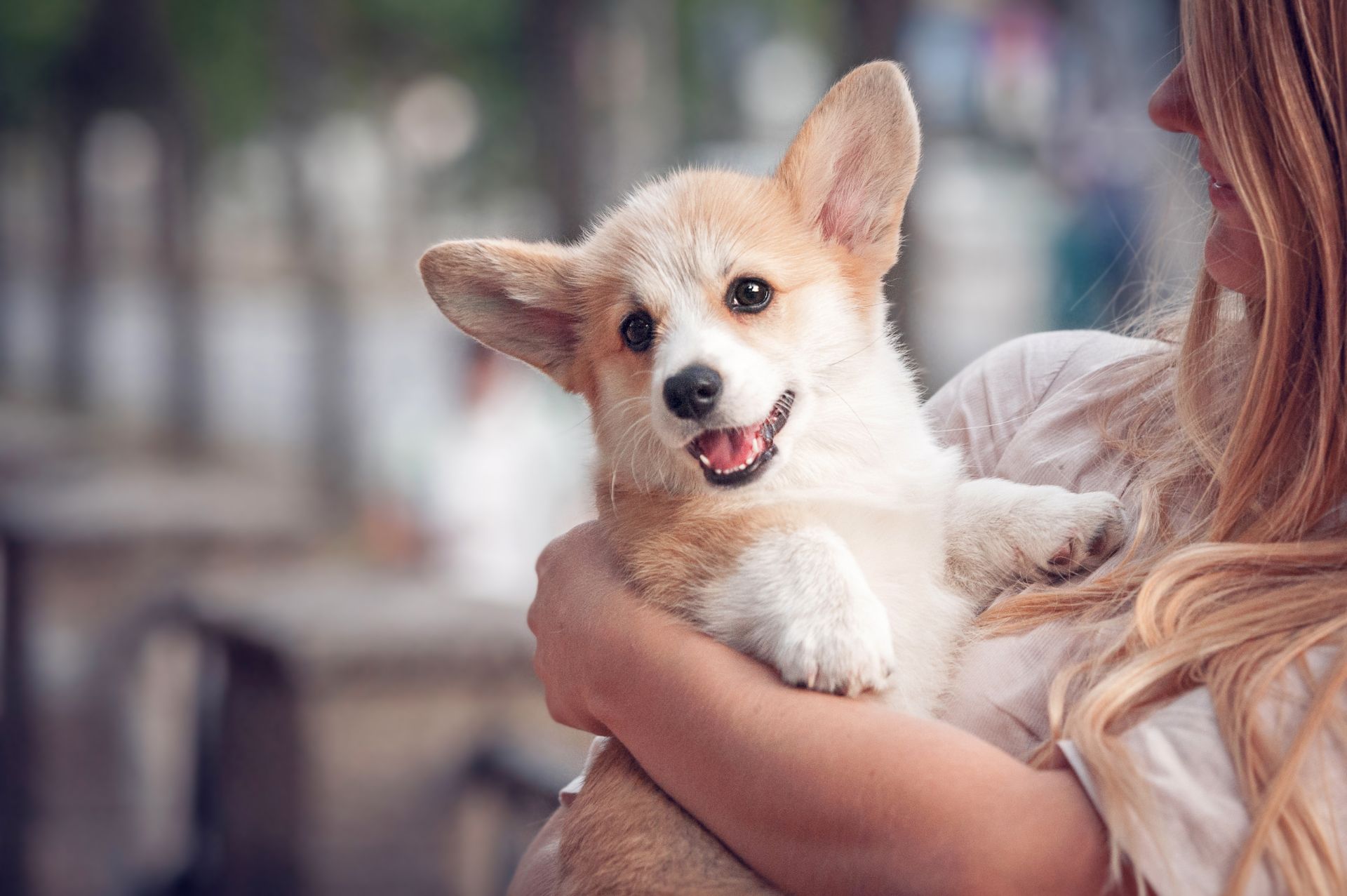 holding a dog