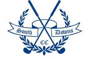 South Downs Logo: Footer