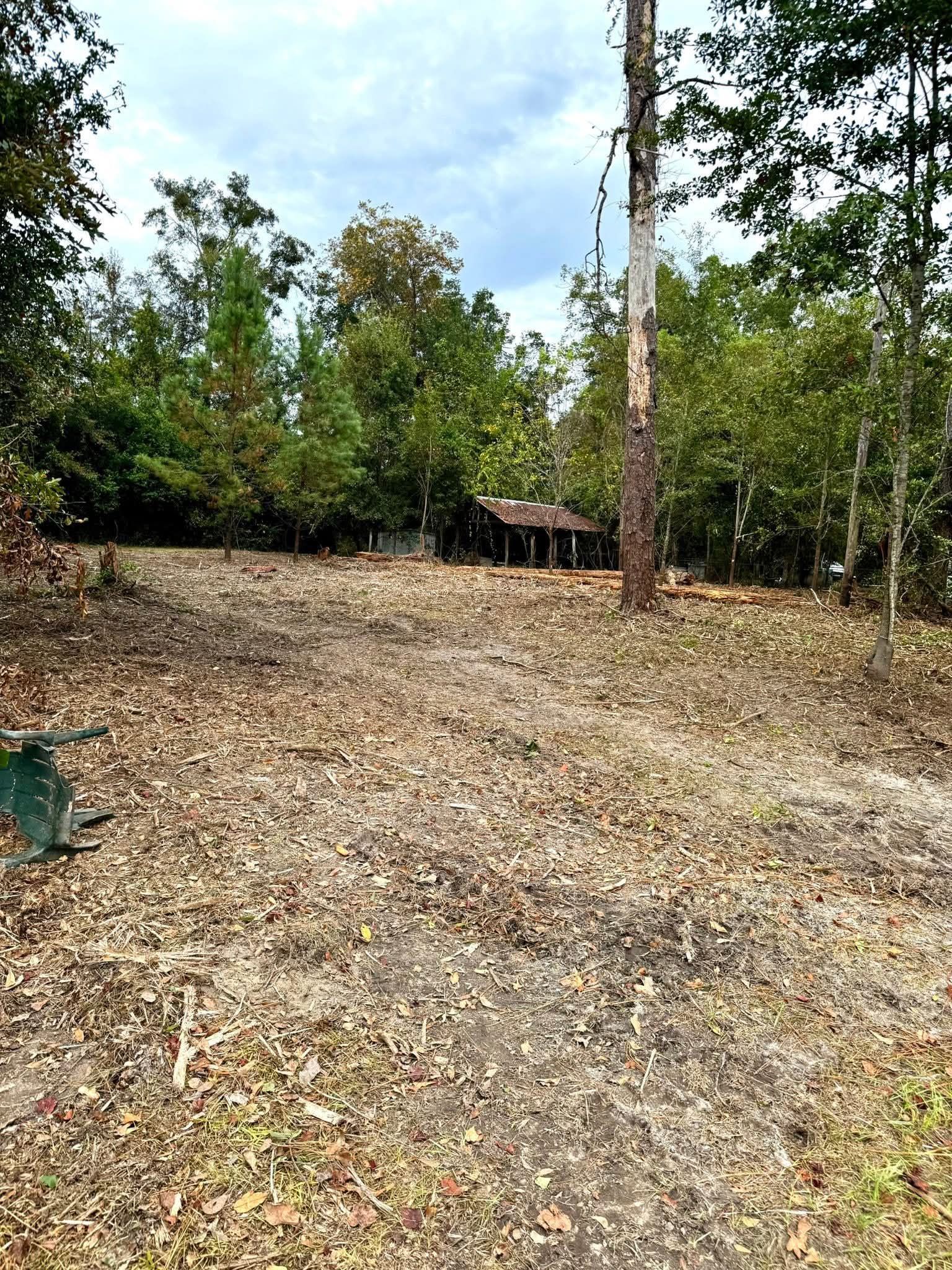 A clearing covered in dry leaves and scattered debris, with trees in the background and a small, dark shed nearby.