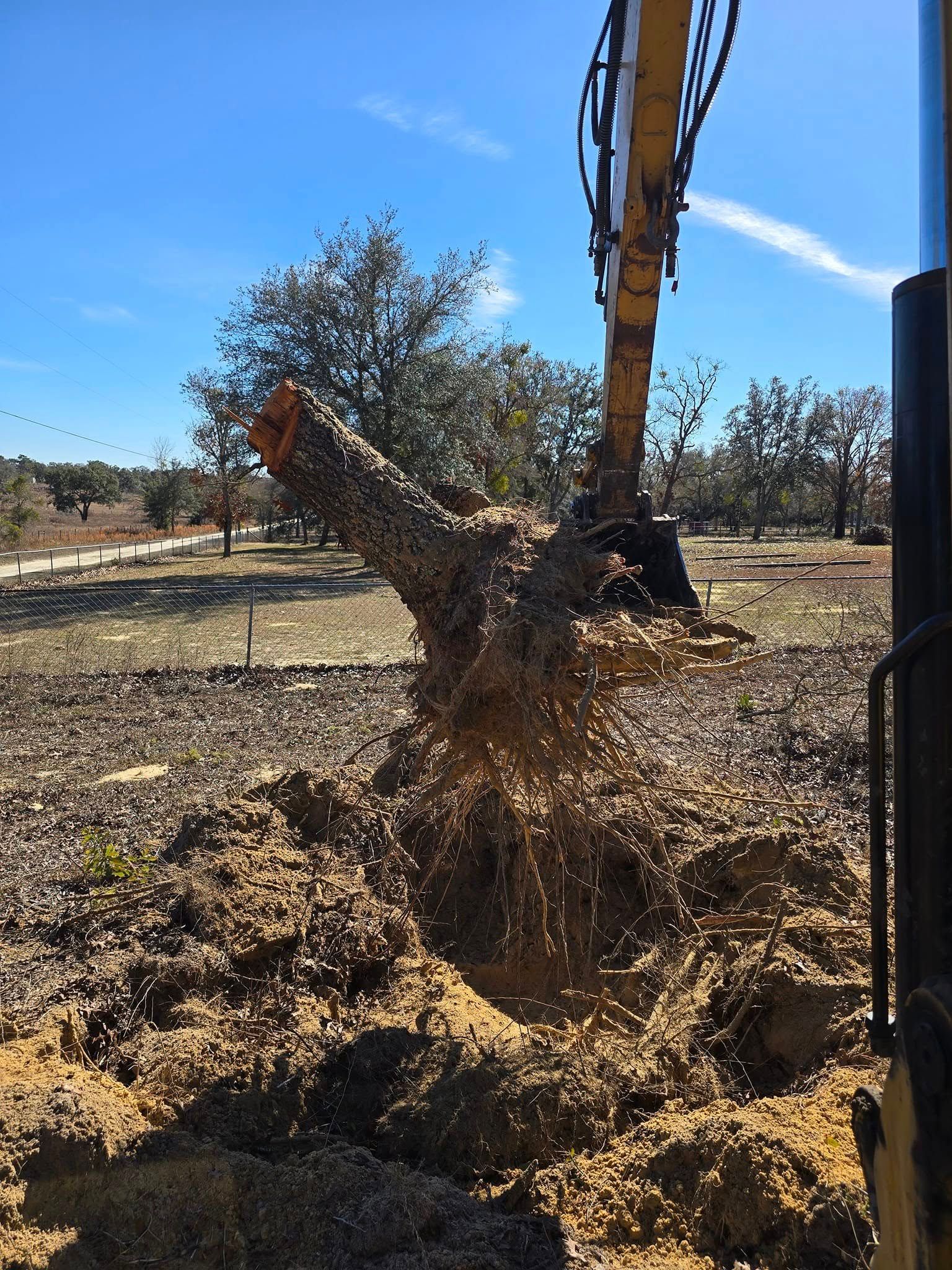 An excavator arm uses a mechanical grapple to lift a large tree stump out of the dirt at a construction site.