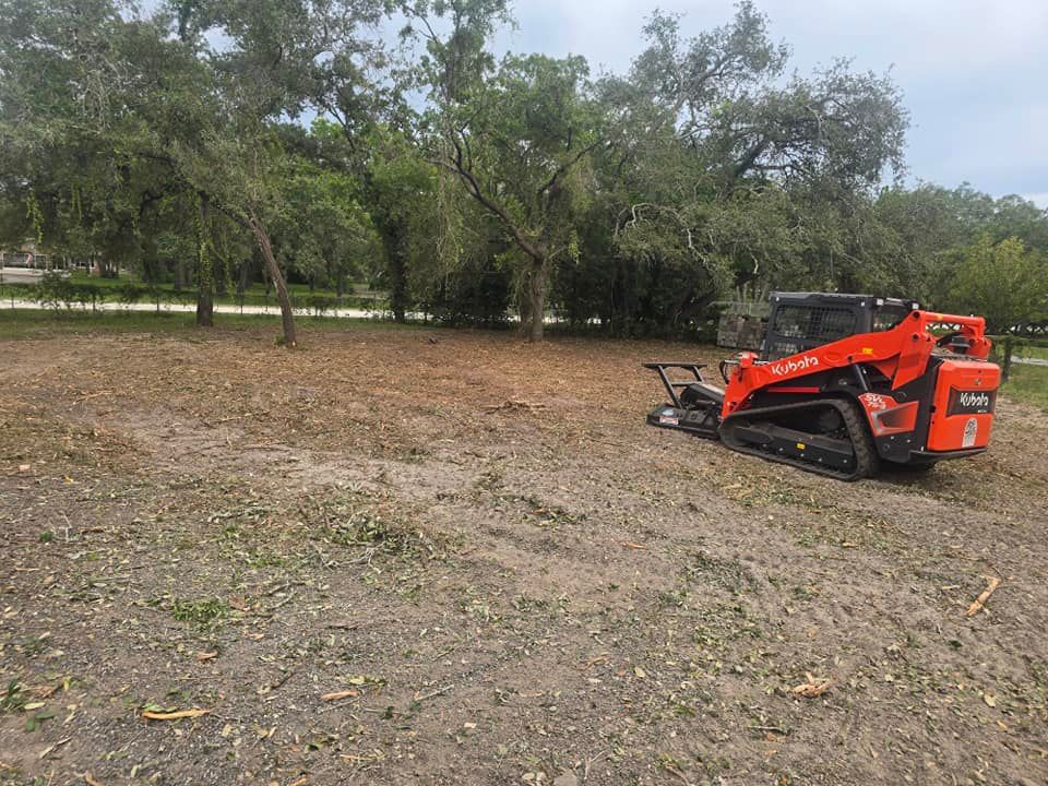 An orange tracked skid steer clears brush and vegetation in a grassy field surrounded by trees.