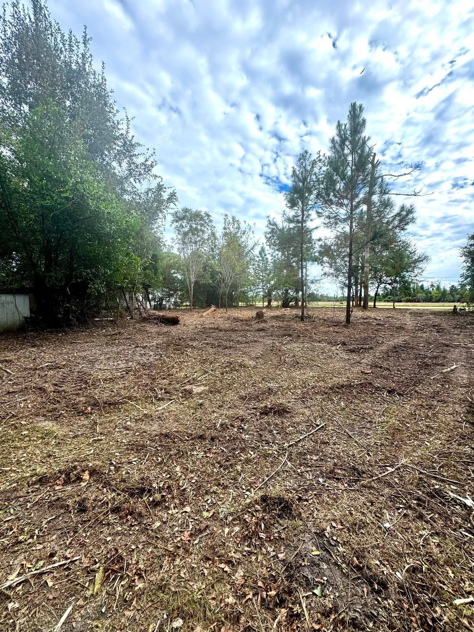 A cleared plot of land with scattered wood chips, bordered by a dense line of trees under a cloudy sky.