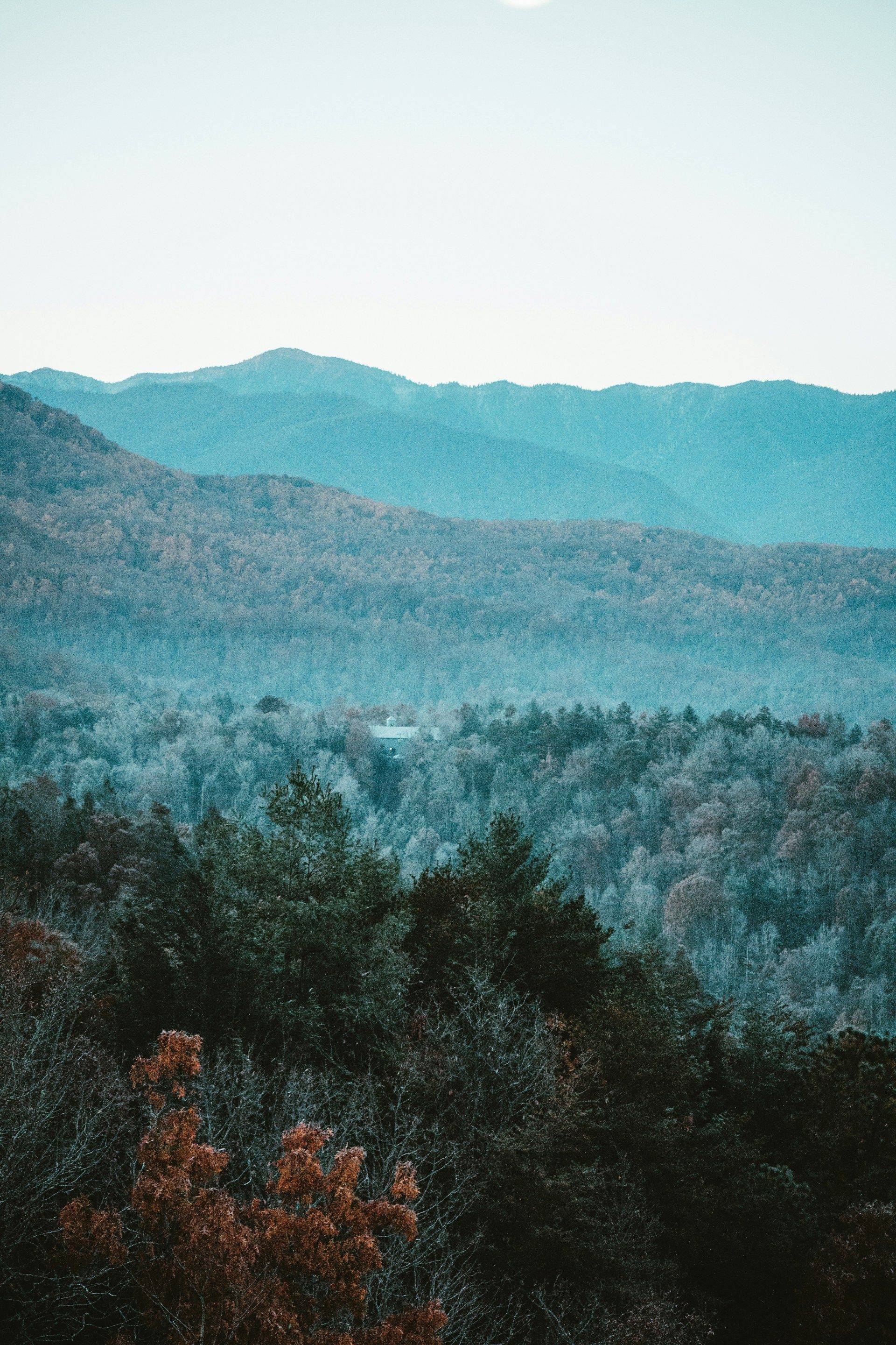 Mountains shrouded in a blue mist, autumn trees in the foreground, a pale sky.