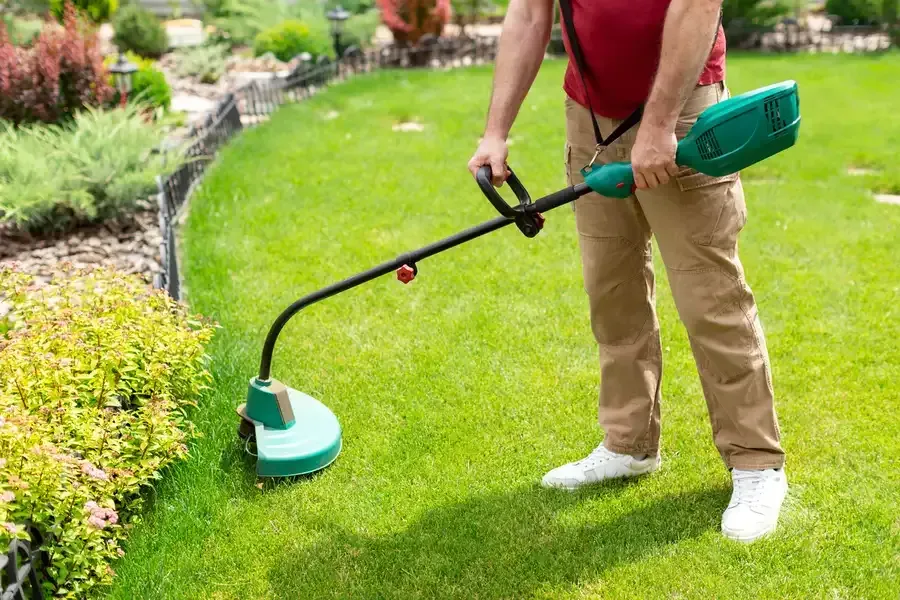 Person uses a green string trimmer to edge a lawn next to a flowerbed.