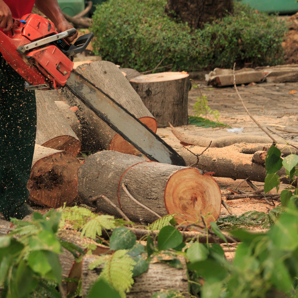 Person using an orange chainsaw to cut logs; sawdust flying.