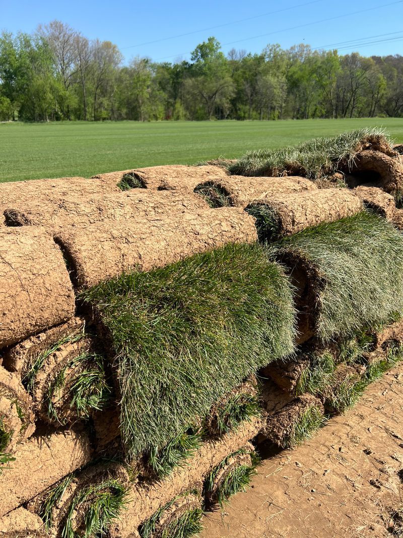 A bunch of rolls of grass sitting on top of each other in a field.