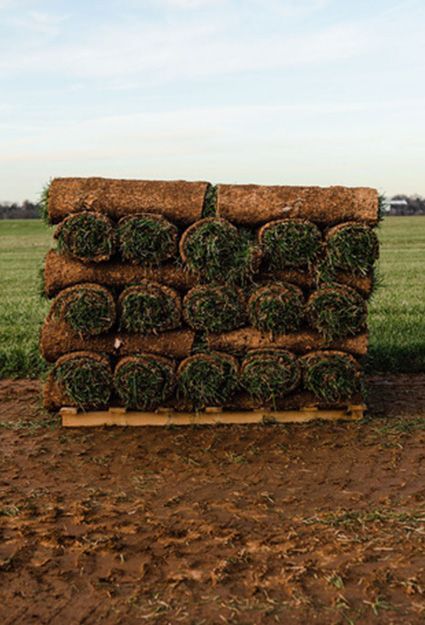 A pile of rolls of turf sitting on top of a wooden pallet in a field.