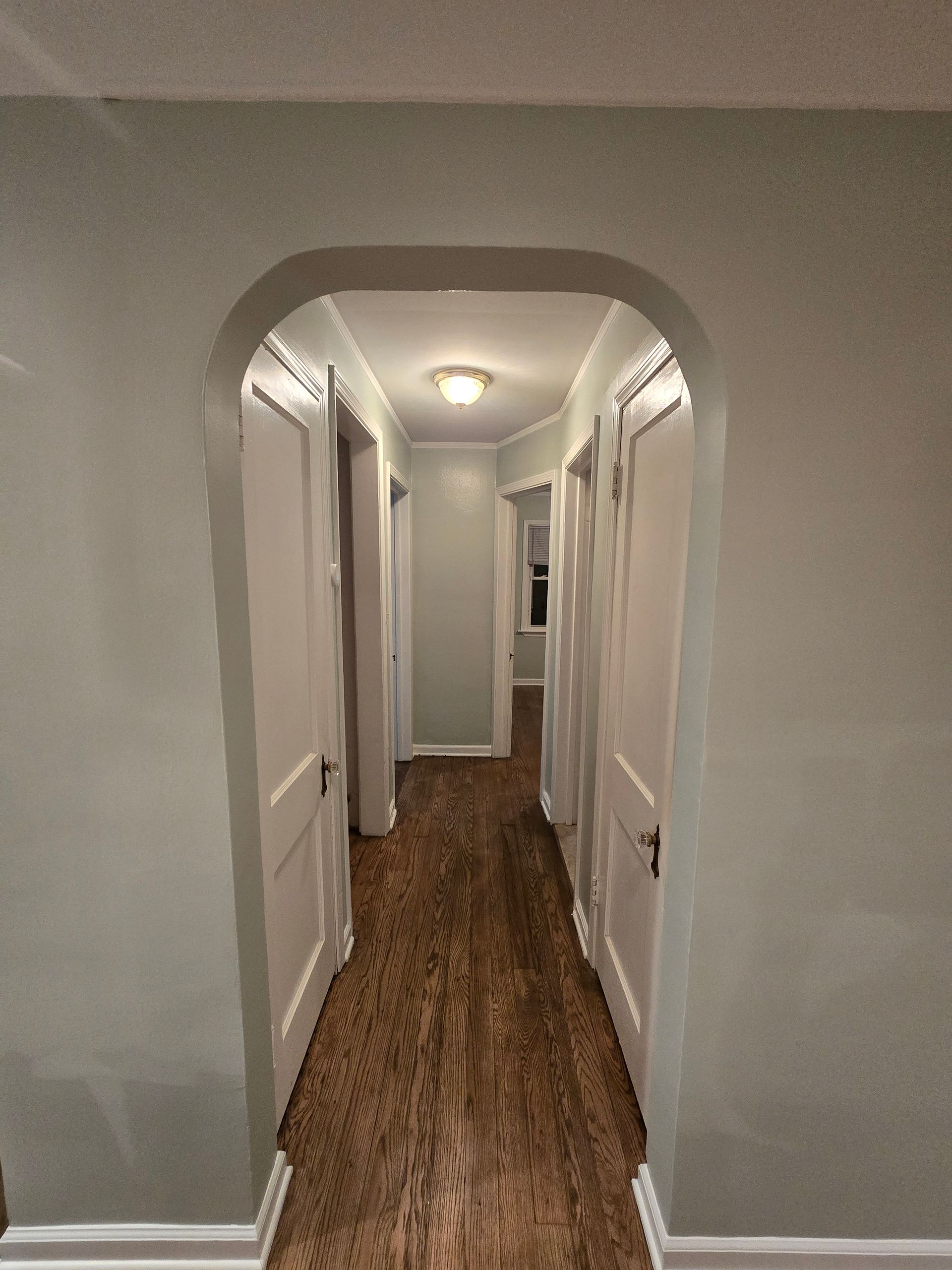 Narrow hallway with white doors, gray walls, wood floor, and a ceiling light.