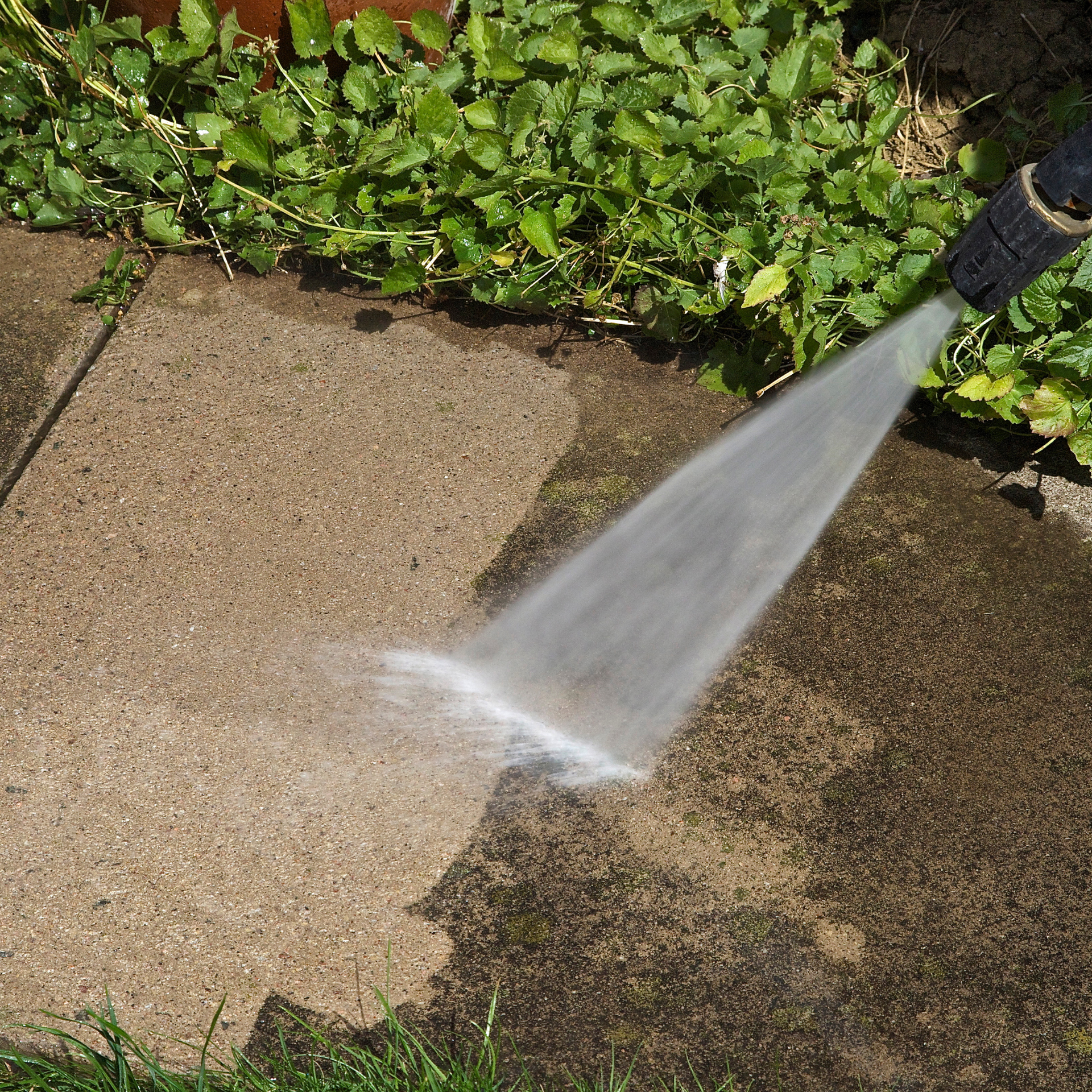 Pressure washer cleaning a concrete surface near greenery.