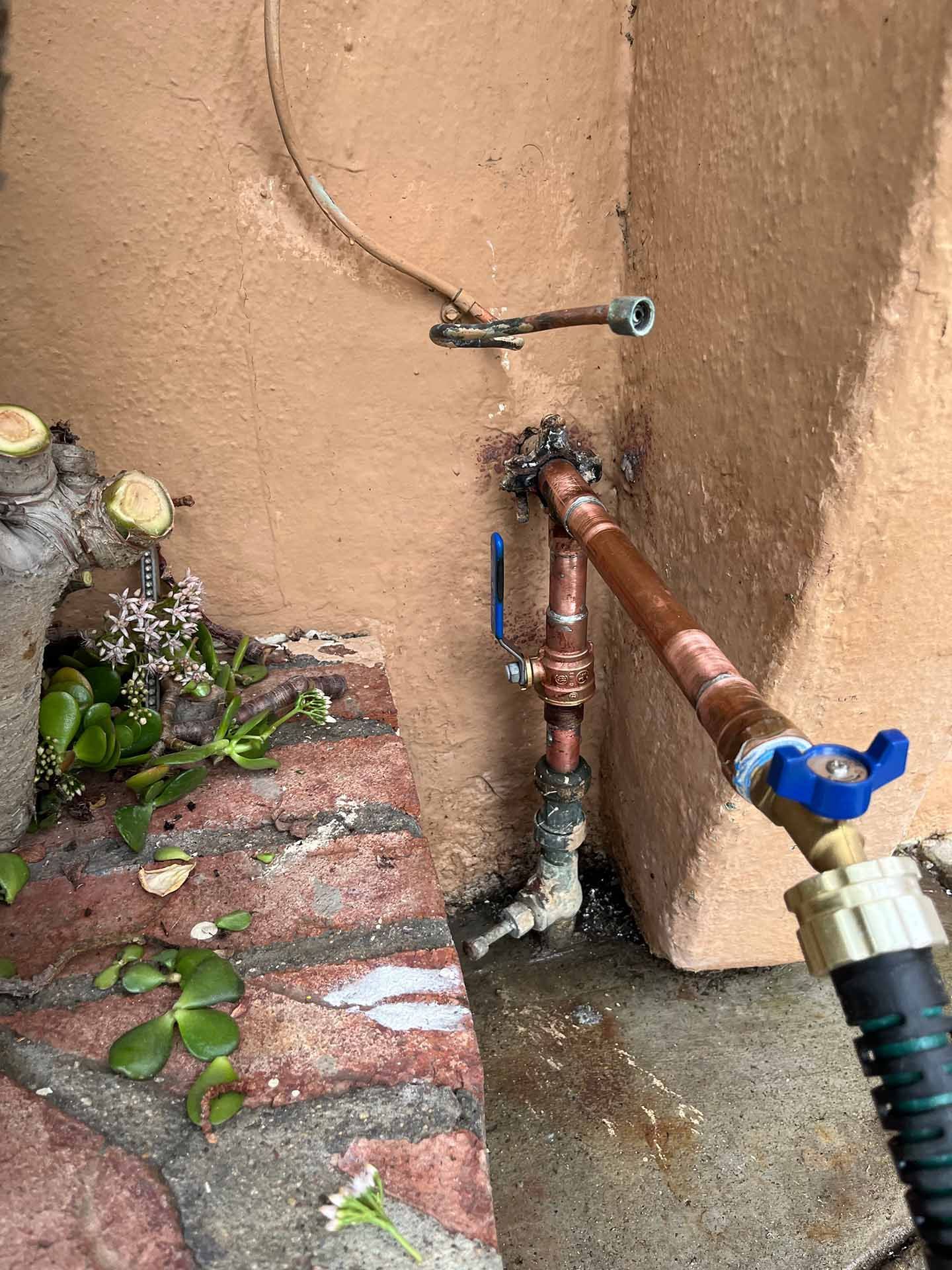 Water pipes and hose connected to a wall