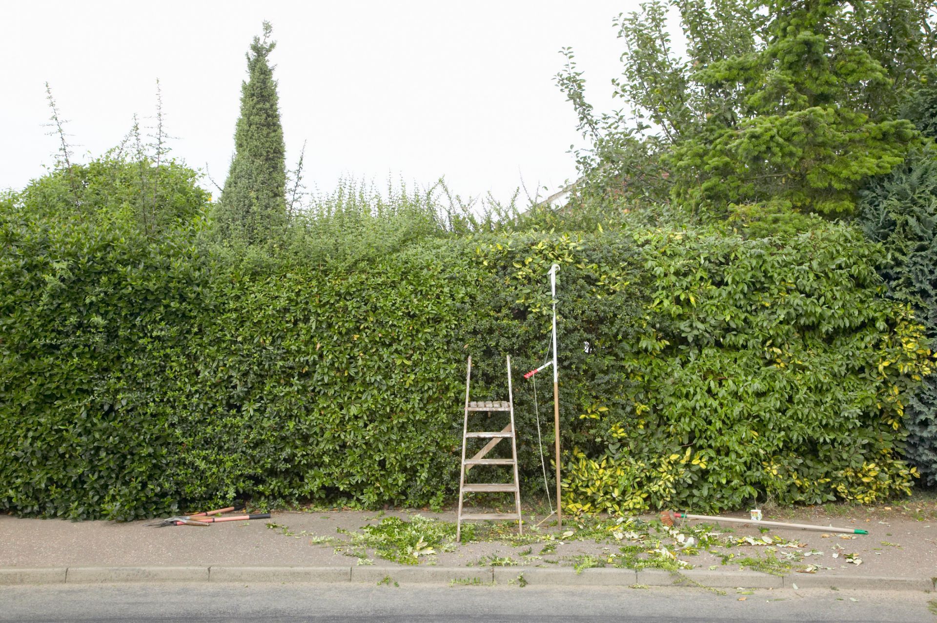 Manutenzione aree verdi