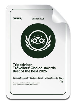A sticker that says Winner TripAdvisor Award 2025