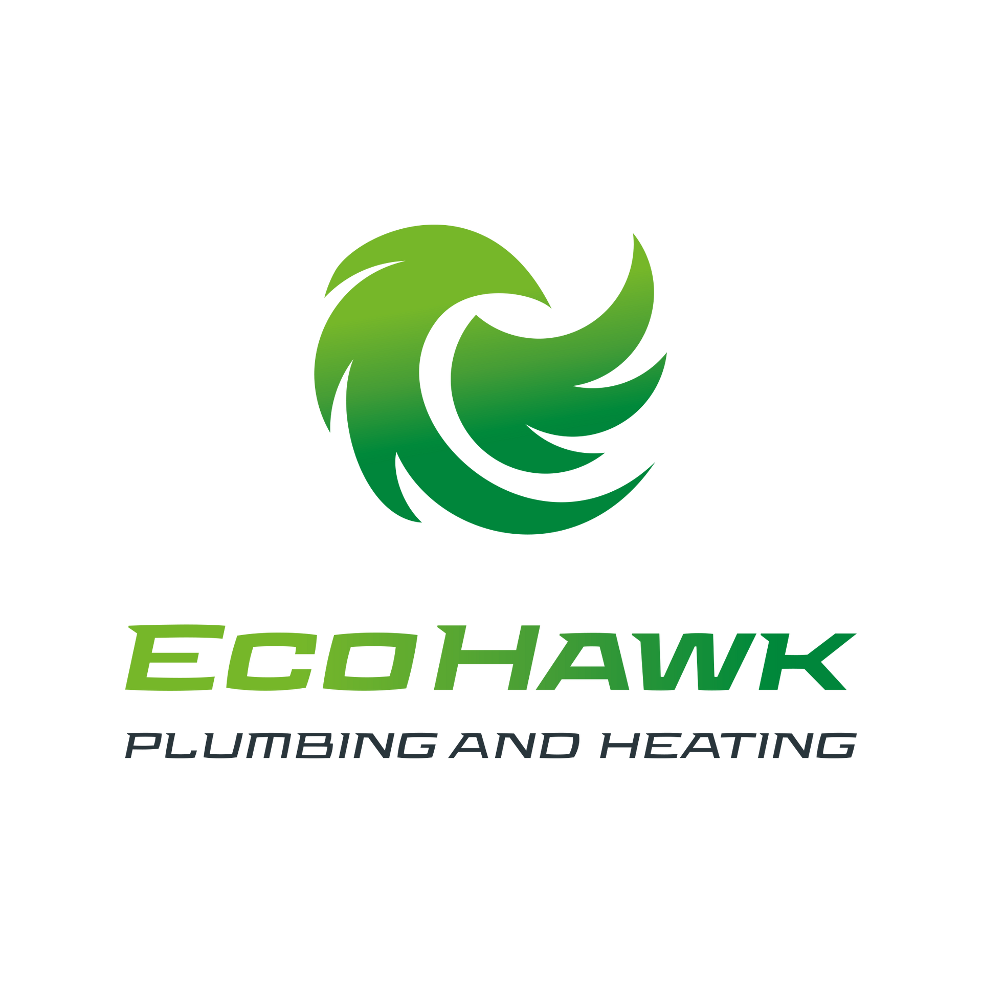 The logo for ecohawk plumbing and heating has a green eagle on it.