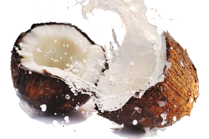 A coconut is being splashed with water on a white background