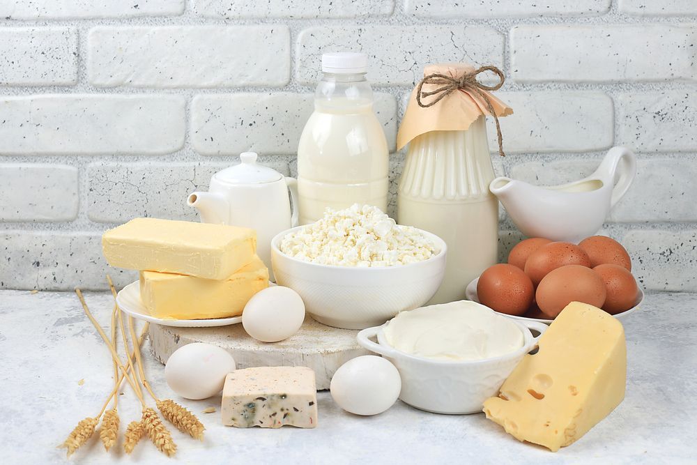 There are many different types of dairy products on the table.