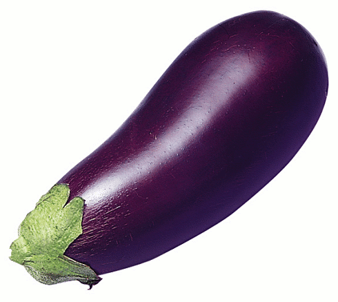 A purple eggplant with a green stem on a white background