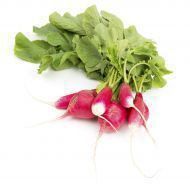 A bunch of radishes with green leaves on a white background.