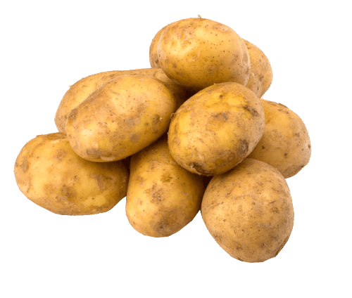 A pile of potatoes on a white background