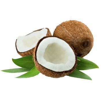 Three coconuts with green leaves on a white background.