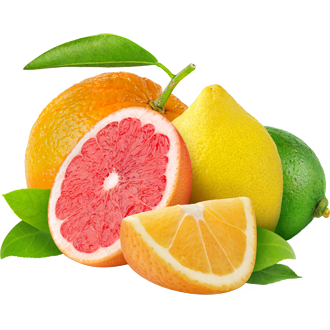 Grapefruit lemons and limes with green leaves on a white background