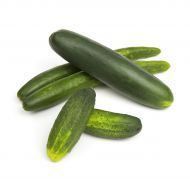 A pile of green cucumbers on a white background.