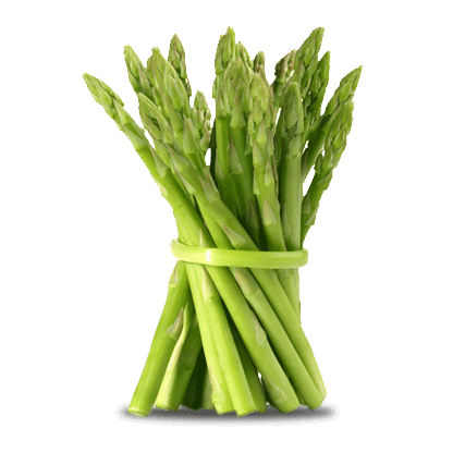 A bunch of green asparagus tied together on a white background