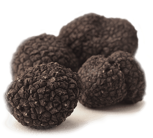 A pile of black truffles on a white surface