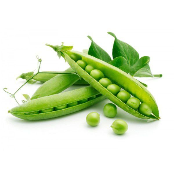 A bunch of green peas in their pods on a white background.