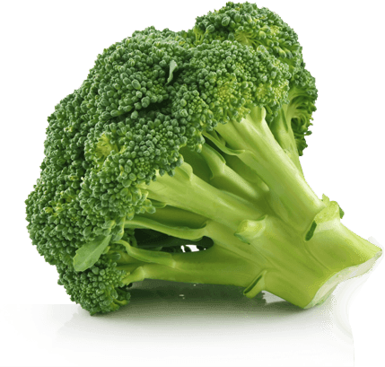A close up of a broccoli head on a white surface