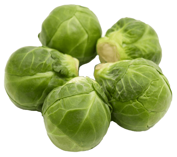 A bunch of brussels sprouts on a white background