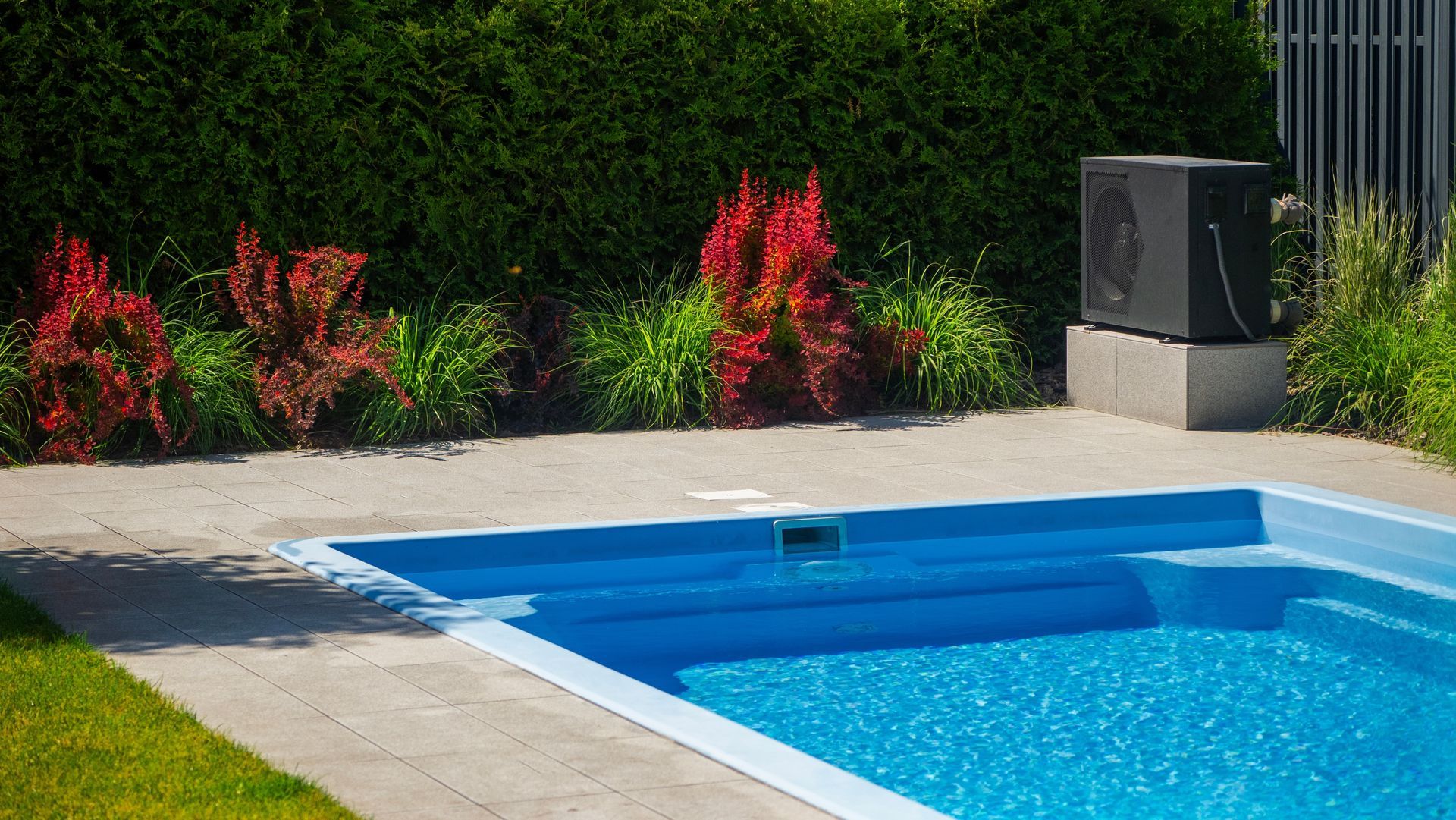 A rectangular backyard swimming pool with blue water, surrounded by concrete decking, green hedges, and a pool heater.
