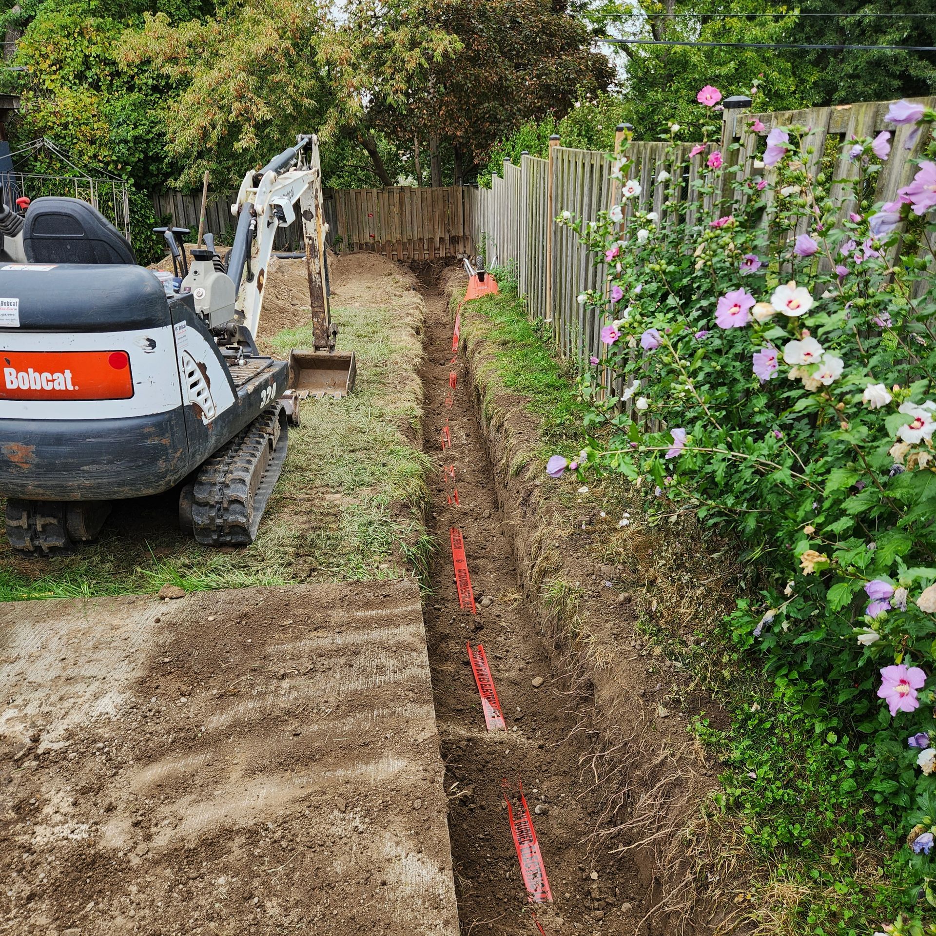 A bobcat excavator is digging a trench in a yard.