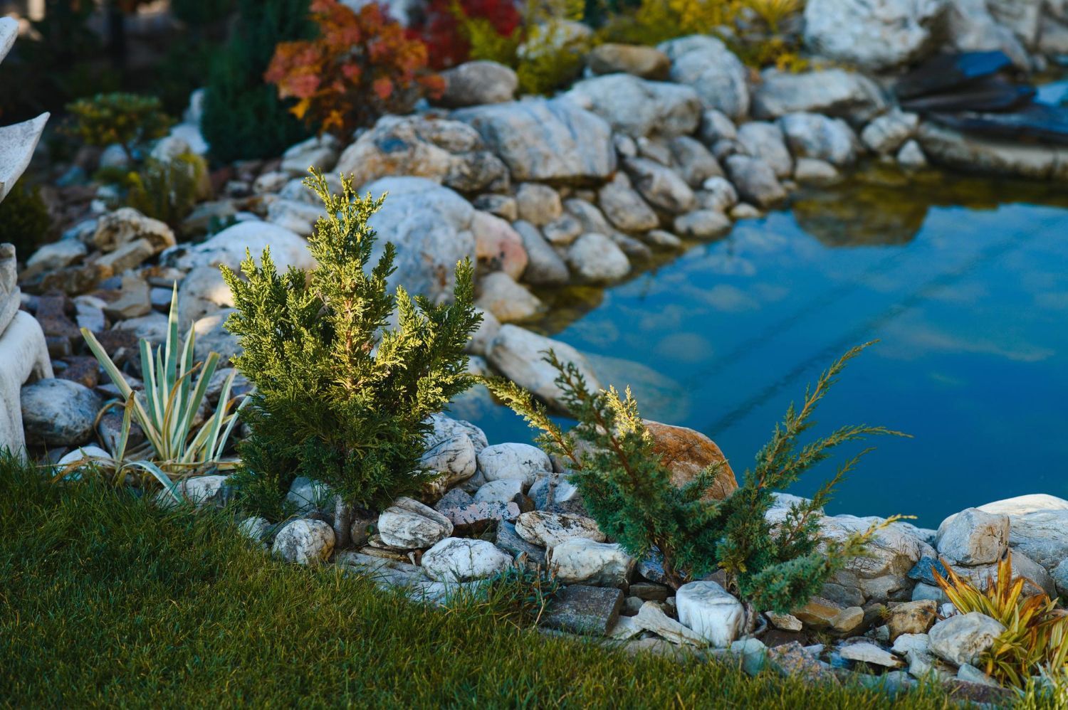 A pond surrounded by rocks and plants in a garden.