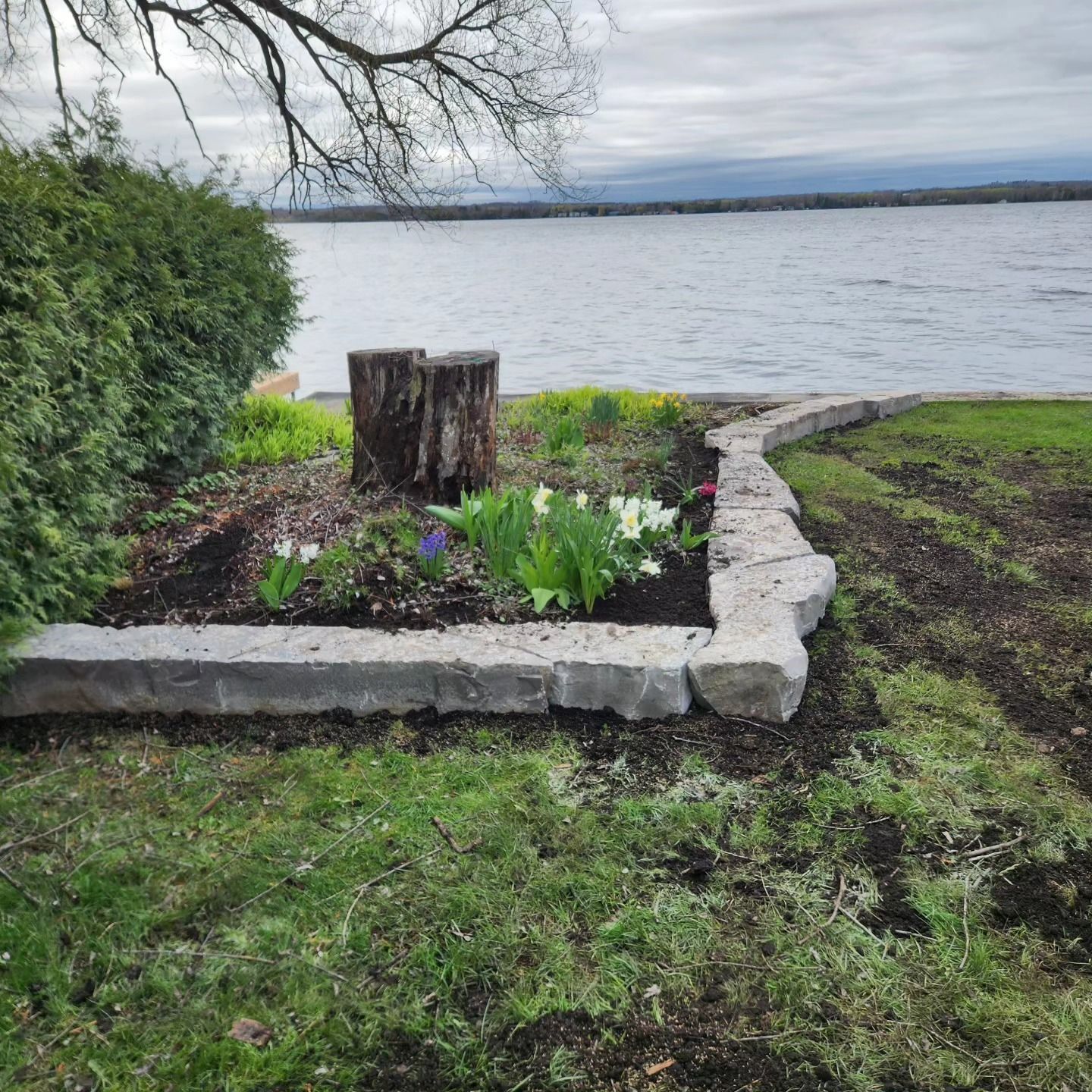A garden with flowers and a tree stump next to a body of water.