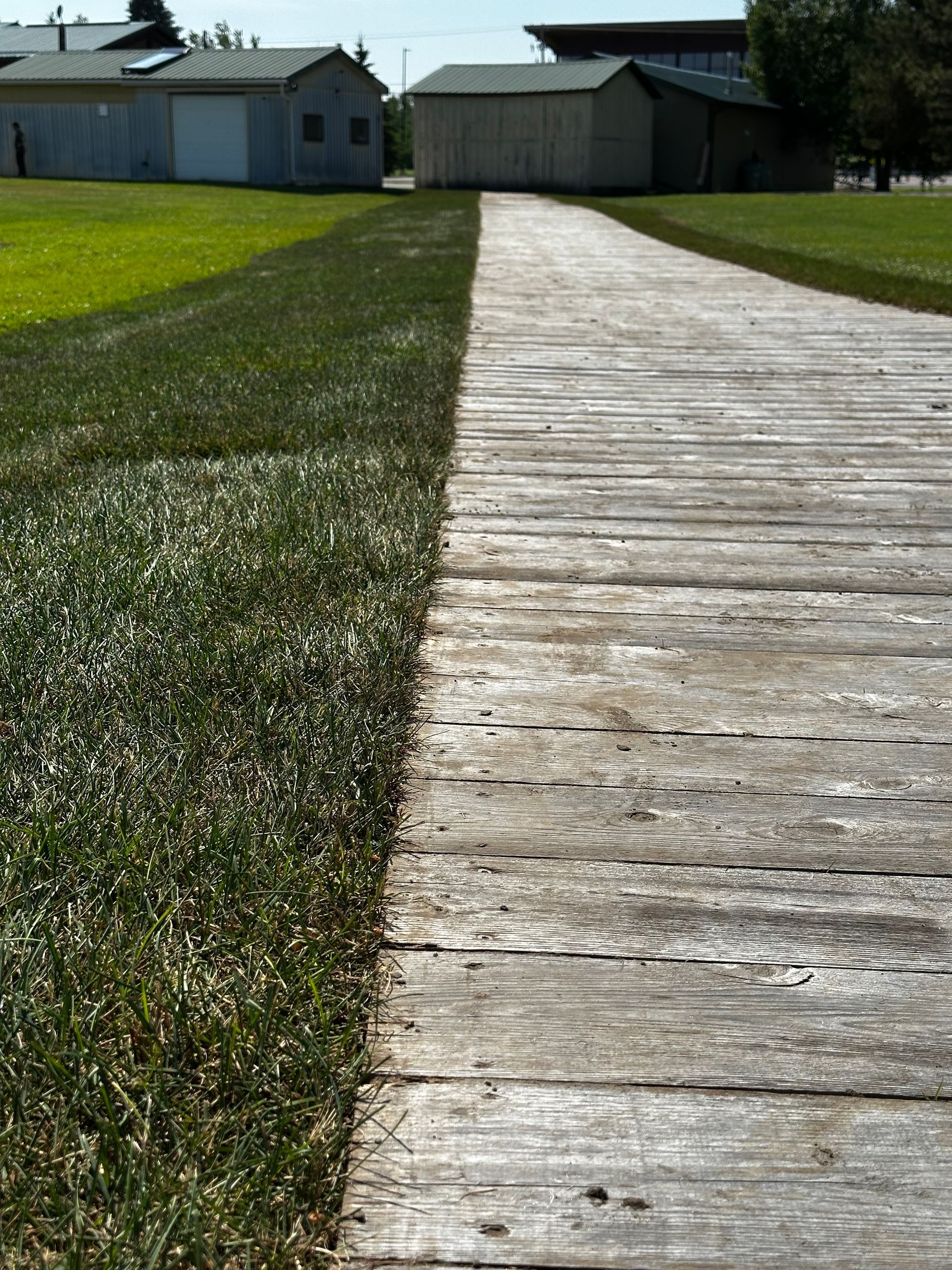 Wooden path flanked by green grass, leading to two sheds in a grassy field.