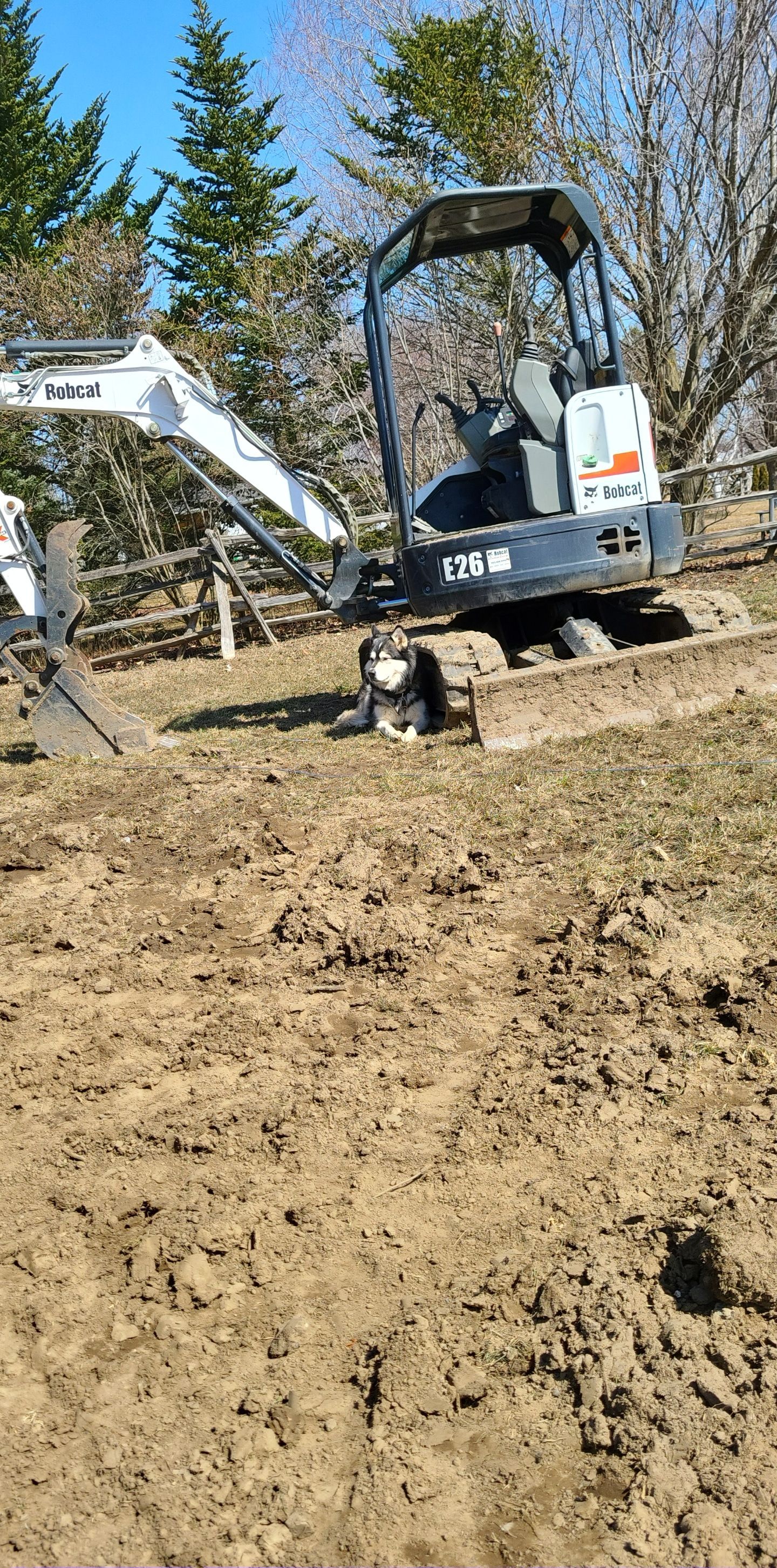 A dog is sitting in the dirt next to a bulldozer.