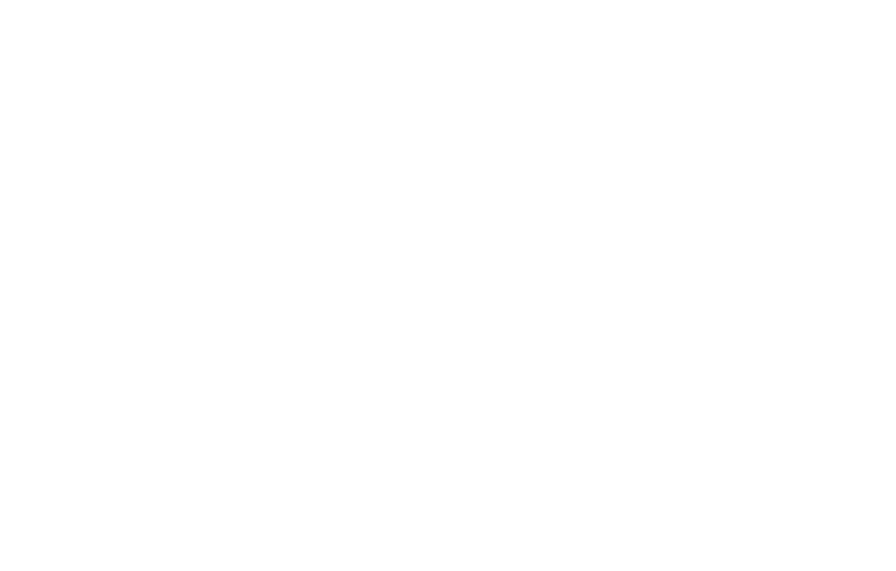 Tanzschule Birkel - Logo