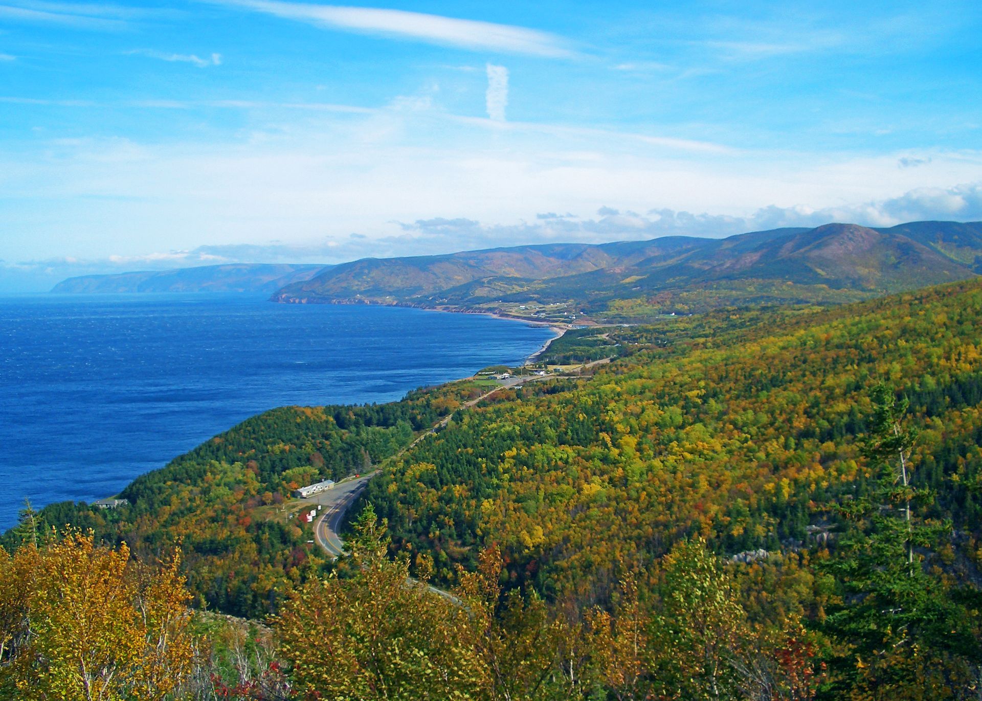 A scenic coastline view featuring vibrant, autumn-colored trees along a winding road beside a deep blue ocean under a blue sky.