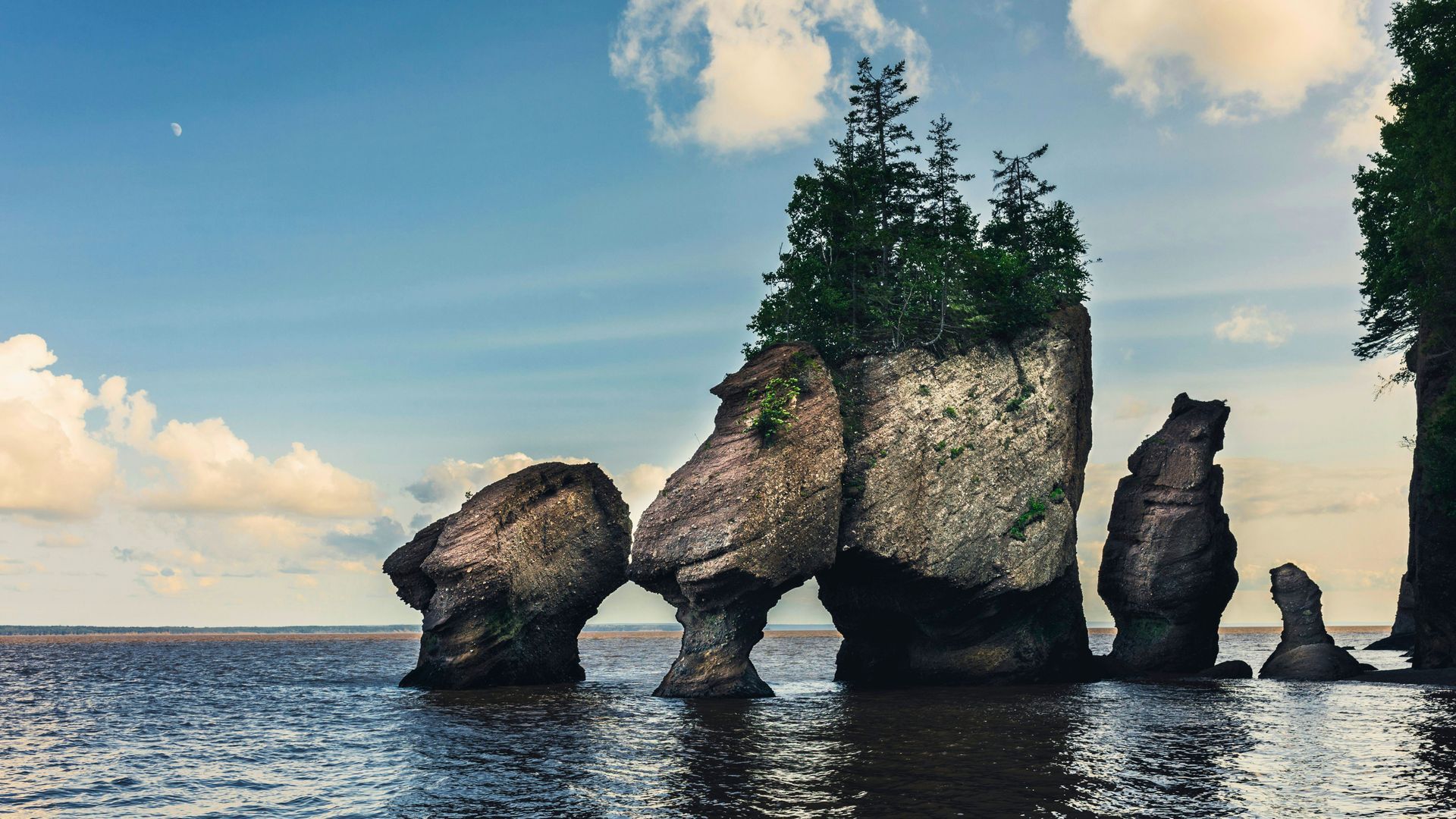 Tall, rugged rock formations topped with greenery stand in calm coastal waters under a partly cloudy blue sky.