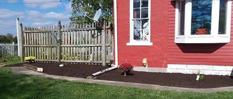 Tree Planting — Red House in  Fort Wayne, IN