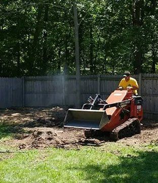 Tree Removal — Tree Stump in  Fort Wayne, IN