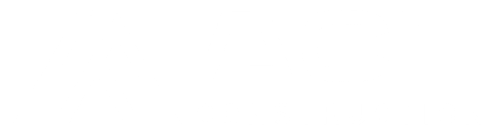 Ace Construction of LA.