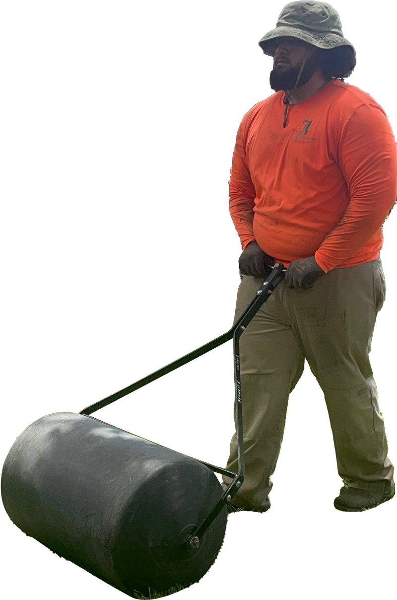 Man in orange shirt and hat rolling a large black lawn roller on a grassy area.