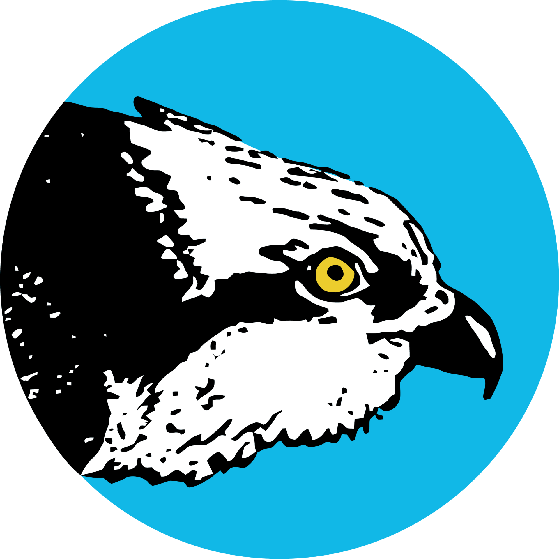 osprey-welfare-resources-the-international-osprey-foundation