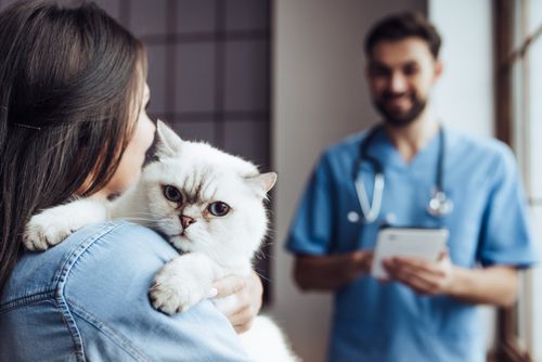 Laser Surgery — Cat Carried by Woman in Azusa, CA