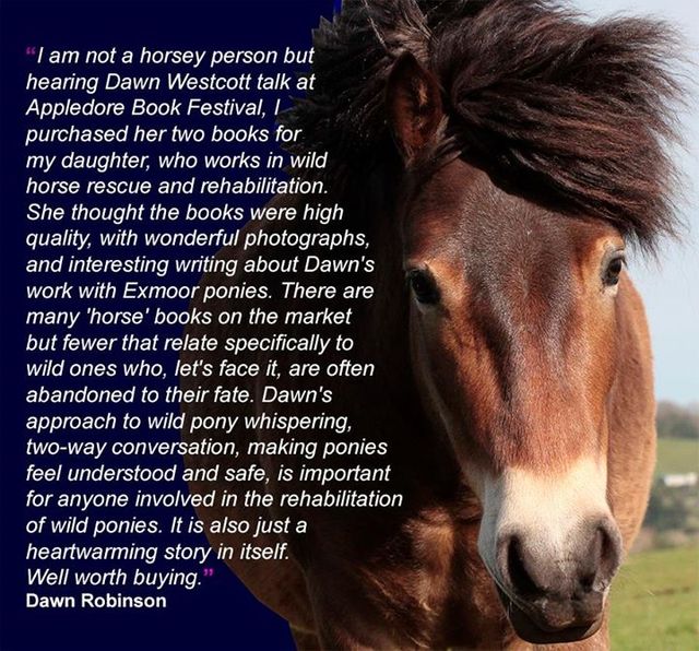 Dawn Westcott Book Reviews And Reader Reviews Australia